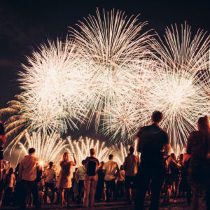 SnakeCity JazzFestival Billet Alle dage